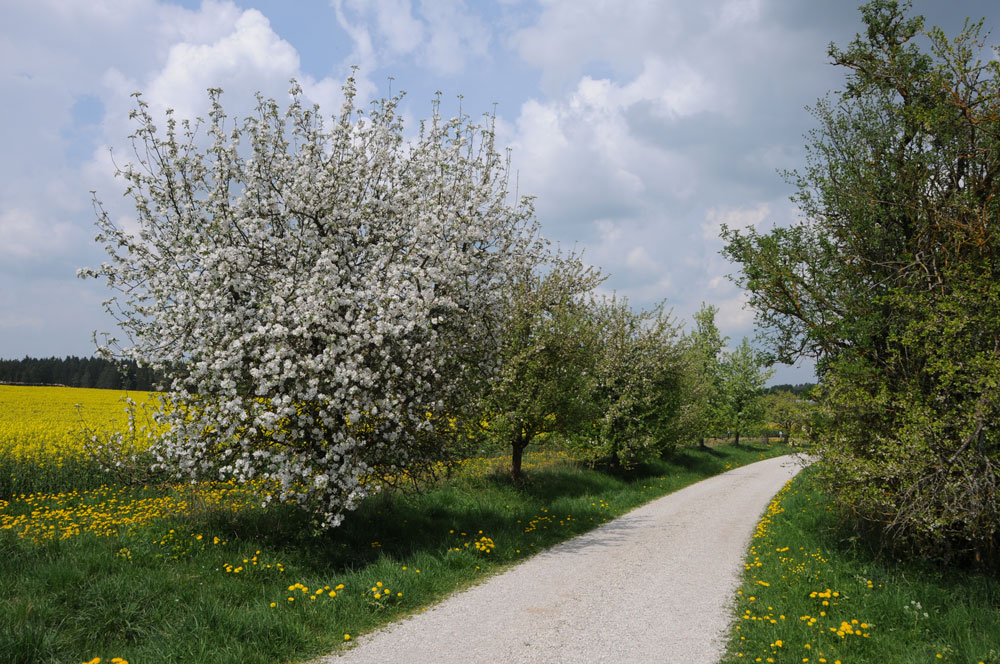 Gutshof Andres Brennerei